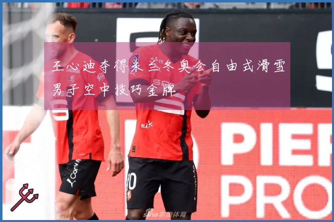 王心迪夺得米兰冬奥会自由式滑雪男子空中技巧金牌