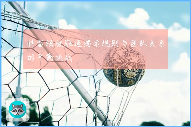 特雷杨被驱逐揭示规则与团队关系的平衡挑战