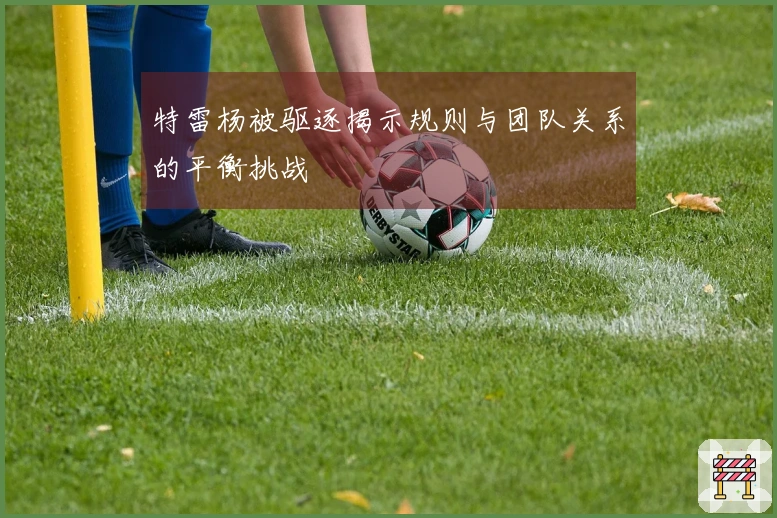 特雷杨被驱逐揭示规则与团队关系的平衡挑战