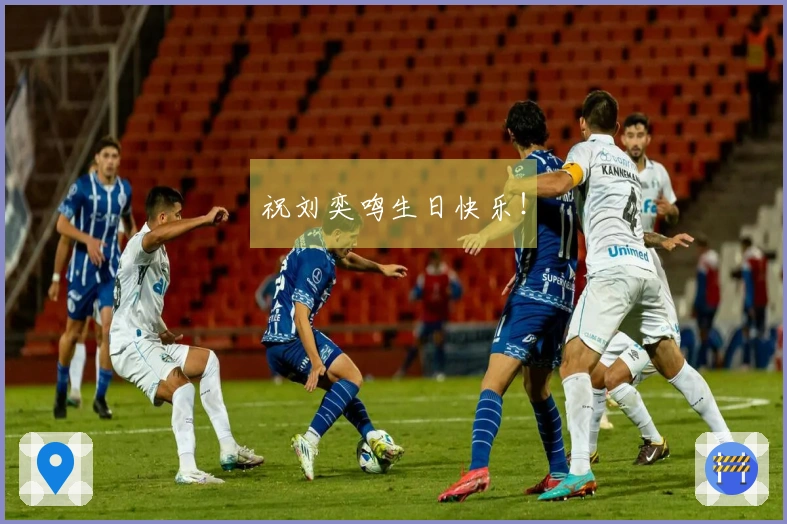 祝刘奕鸣生日快乐！